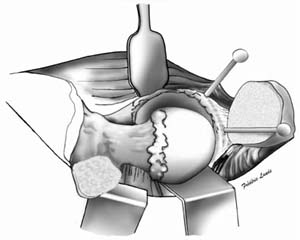 fig10