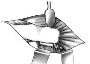fig7
